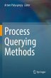 Process Querying Methods - Bild 1