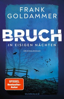 In eisigen Nächten / Felix Bruch Bd.2 - Goldammer, Frank