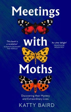 Cover Meetings with Moths (eBook, ePUB)