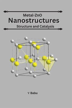 Metal-ZnO Nanostructures Structure And Catalysis - Babu, V.