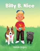Billy B. Nice (eBook, ePUB)