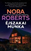 Éjszakai munka (eBook, ePUB)
