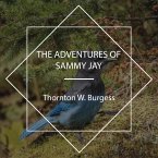 The Adventures of Sammy Jay (MP3-Download)