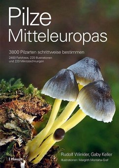 Pilze Mitteleuropas - Winkler, Rudolf;Keller, Gaby