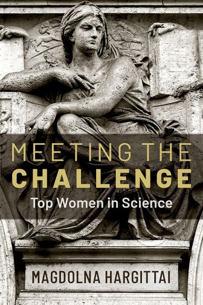 Meeting the Challenge (eBook, PDF)