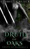 Druid of Oaks (Grove of Bandrui, #1) (eBook, ePUB)