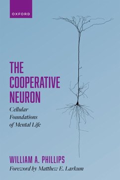 The Cooperative Neuron (eBook, PDF) Cover The Cooperative Neuron (eBook, PDF)