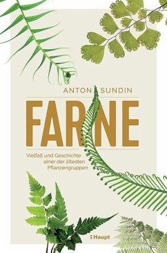 Farne - Sundin, Anton