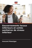 Gouvernements locaux inférieurs et unités sanitaires de niveau inférieur