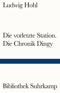 Die vorletzte Station / Die Chronik Dingy (eBook, ePUB) - Hohl, Ludwig