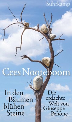 In den Bäumen blühen Steine (eBook, ePUB) - Nooteboom, Cees