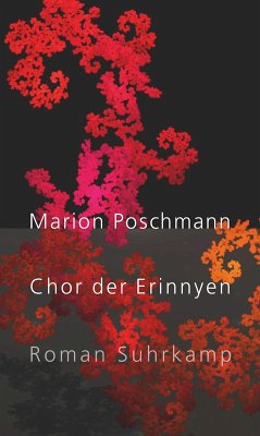 Chor der Erinnyen (eBook, ePUB) - Poschmann, Marion
