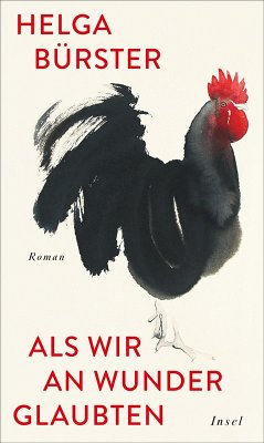 Als wir an Wunder glaubten (eBook, ePUB) - Bürster, Helga