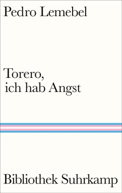 Torero, ich hab Angst (eBook, ePUB) - Lemebel, Pedro