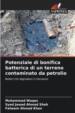 Potenziale di bonifica batterica di un terreno contaminato da petrolio - Waqas, Muhammad;Shah, Syed Jawad Ahmad;Khan, Faheem Ahmad