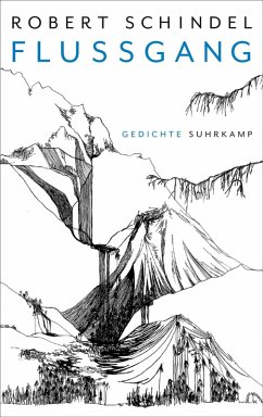 Flussgang (eBook, ePUB) - Schindel, Robert
