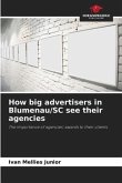 How big advertisers in Blumenau/SC see their agencies