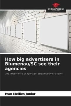 How big advertisers in Blumenau/SC see their agencies - Mellies Junior, Ivan