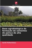 Base agrobiológica da formação de sementes de painço de alta qualidade