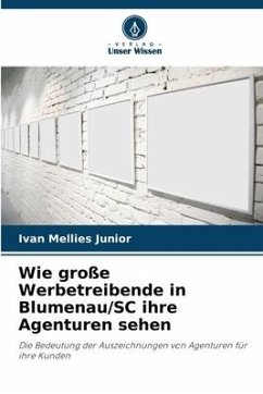 Wie große Werbetreibende in Blumenau/SC ihre Agenturen sehen - Mellies Junior, Ivan