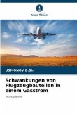 Schwankungen von Flugzeugbauteilen in einem Gasstrom