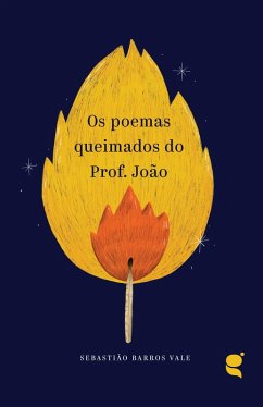 Os poemas queimados do Prof. João (eBook, ePUB) - Valle, Sebastião Barros