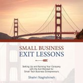 Small Business Exit Lessons (eBook, ePUB)