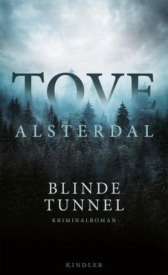 Blinde Tunnel (eBook, ePUB) - Alsterdal, Tove