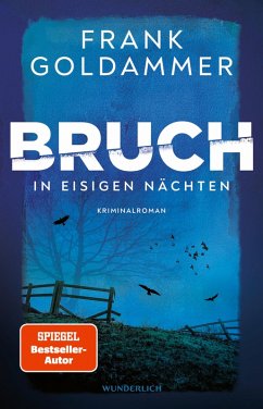 In eisigen Nächten / Felix Bruch Bd.2 (eBook, ePUB) - Goldammer, Frank