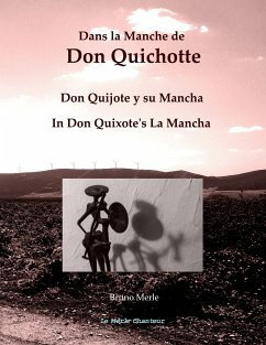 Dans la Manche de Don Quichotte (eBook, ePUB)