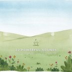 22 Powerful Sounds for Healing & Unwinding: Deep Sleep, Insomnia, Depression, Anxiety, and Happiness (MP3-Download)