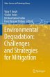 Environmental Degradation: Challenges... - Bild 1