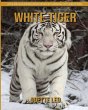 White Tiger - Bild 1