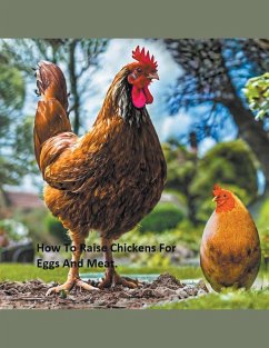 How to Raise Chickens For Eggs and Meat - Travelmagma