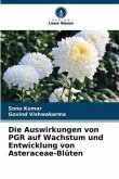 Die Auswirkungen von PGR auf Wachstum und Entwicklung von Asteraceae-Blüten
