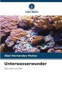 Unterwasserwunder - Hernández Muñoz, Abel