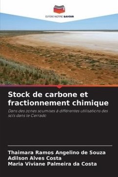 Stock de carbone et fractionnement chimique - Angelino de Souza, Thaimara Ramos;Costa, Adilson Alves;Palmeira da Costa, Maria Viviane