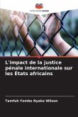 L'impact de la justice pénale internationale sur les États africains