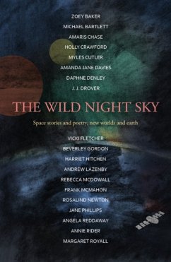 The Wild Night Sky - Hitchen, Harriet; Bartlett, Michael; Davies, Amanda Jane