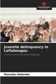 Juvenile delinquency in Lafiabougou