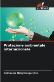 Protezione ambientale internazionale