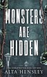 Monsters Are Hidden - Bild 1