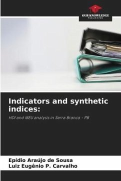 Indicators and synthetic indices: - Araújo de Sousa, Epídio;P. Carvalho, Luiz Eugênio