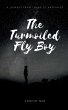 The Turmoiled Fly Boy - Bild 1