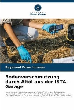 Bodenverschmutzung durch Altöl aus der ISTA-Garage - Powa lomasa, Raymond