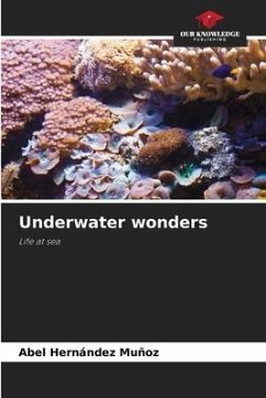 Underwater wonders - Hernández Muñoz, Abel
