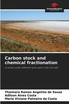 Carbon stock and chemical fractionation - Angelino de Souza, Thaimara Ramos;Costa, Adilson Alves;Palmeira da Costa, Maria Viviane