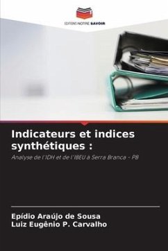 Indicateurs et indices synthétiques : - Araújo de Sousa, Epídio;P. Carvalho, Luiz Eugênio