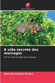 A vida secreta dos morcegos