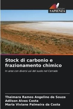 Stock di carbonio e frazionamento chimico - Angelino de Souza, Thaimara Ramos;Costa, Adilson Alves;Palmeira da Costa, Maria Viviane